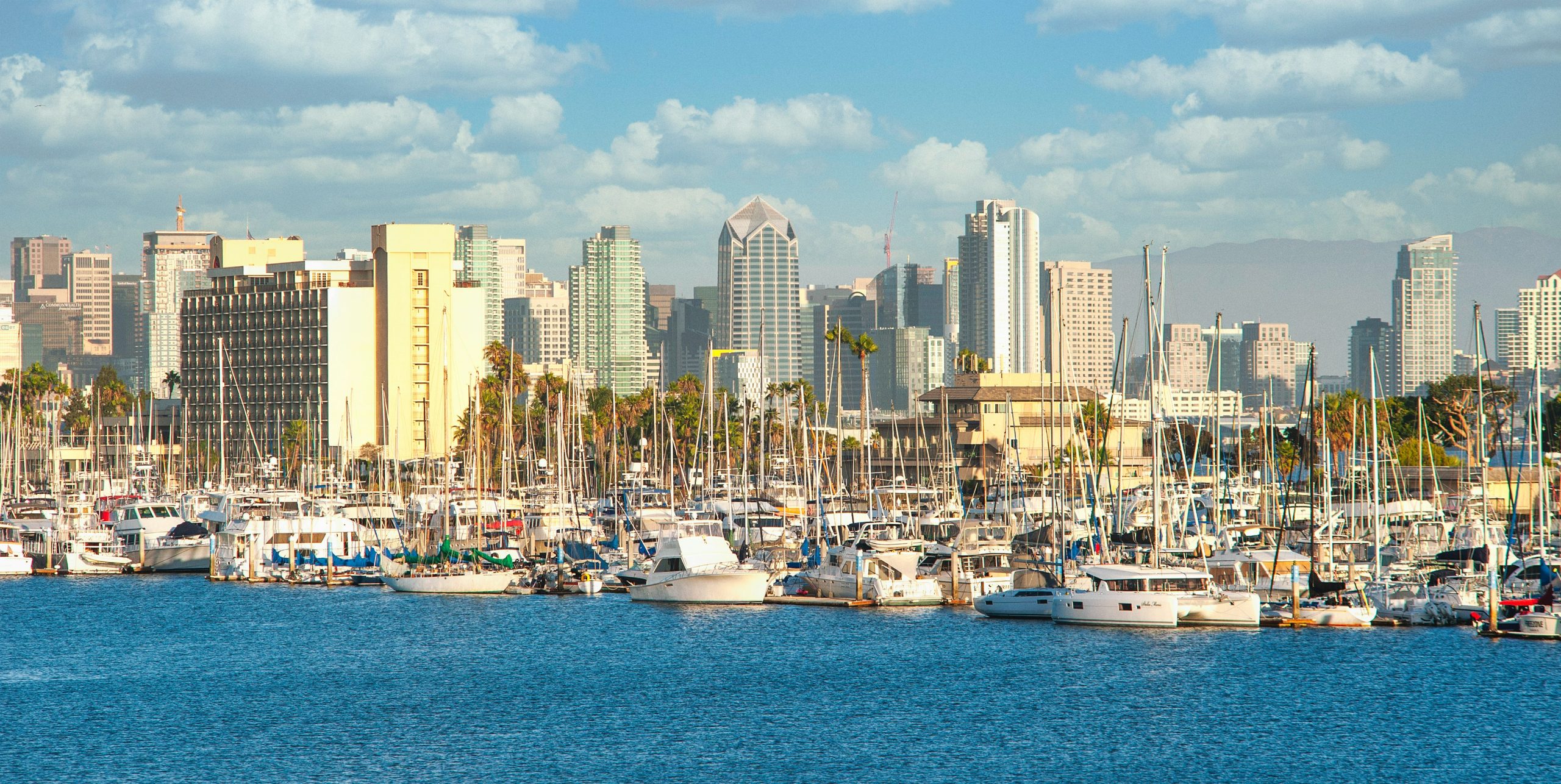Photo of San Diego Bay with boats and skyline in the background.